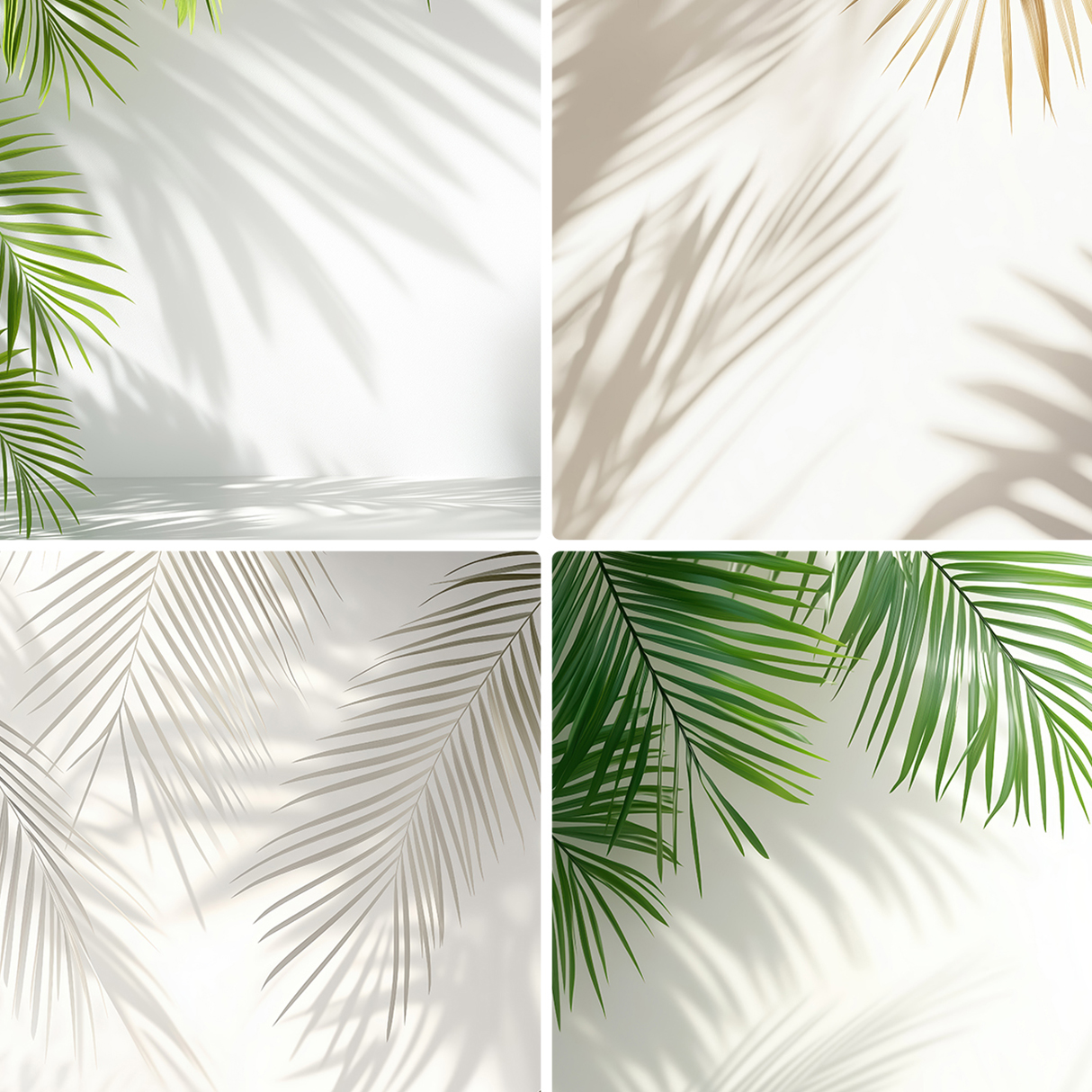 20 Palm Branches Shadows Backgrounds Samples Preview – Part 04