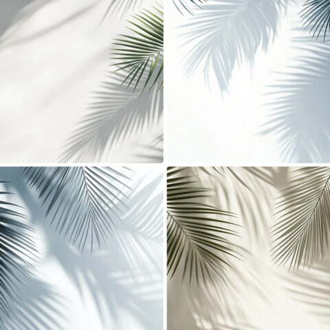 20 Palm Branches Shadows Backgrounds Samples Preview - Part 05