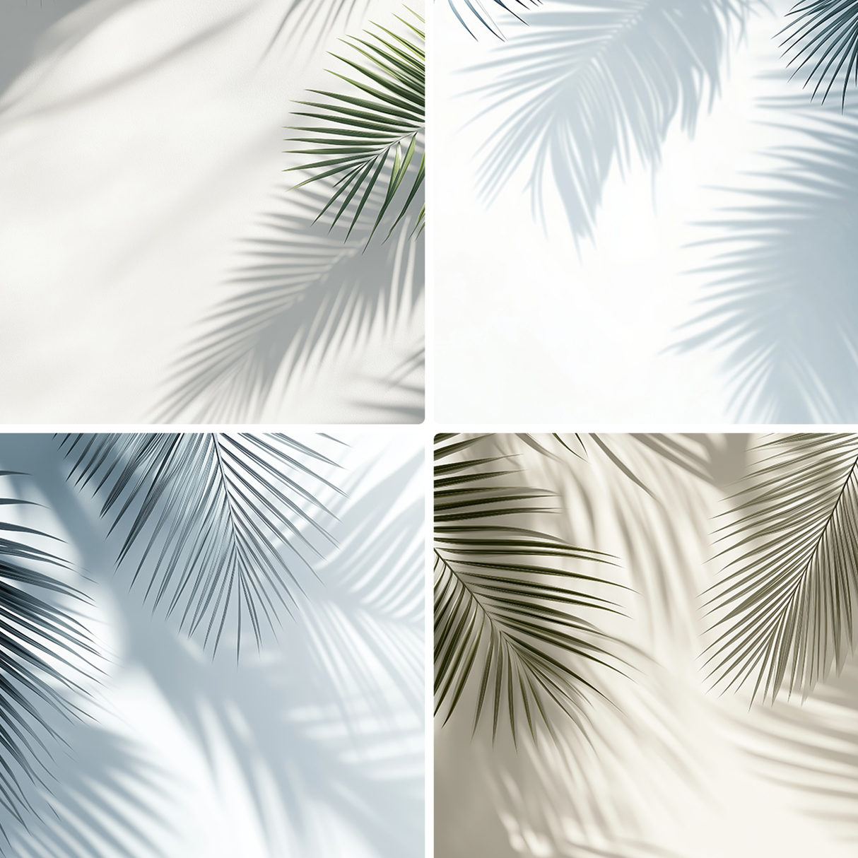 20 Palm Branches Shadows Backgrounds Samples Preview – Part 05