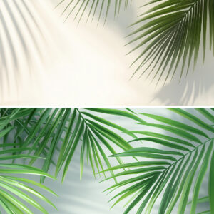 20 Palm Branches Shadows Backgrounds Samples Preview - Part 06