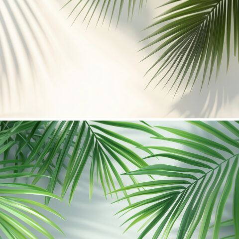 20 Palm Branches Shadows Backgrounds Samples Preview - Part 06