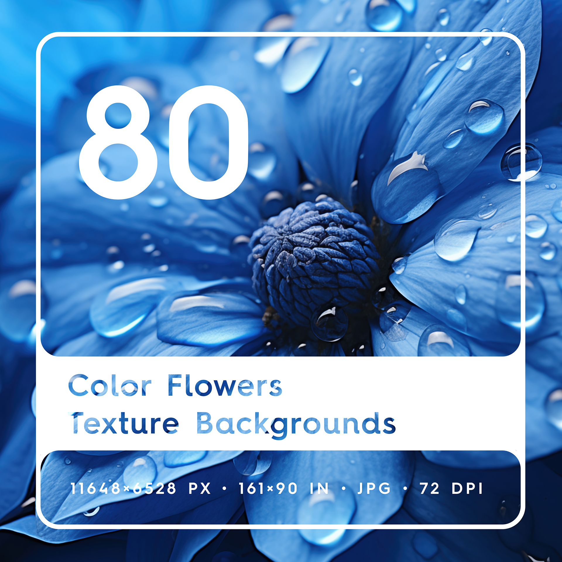 80 Color Flowers Texture Backgrounds Square Cover