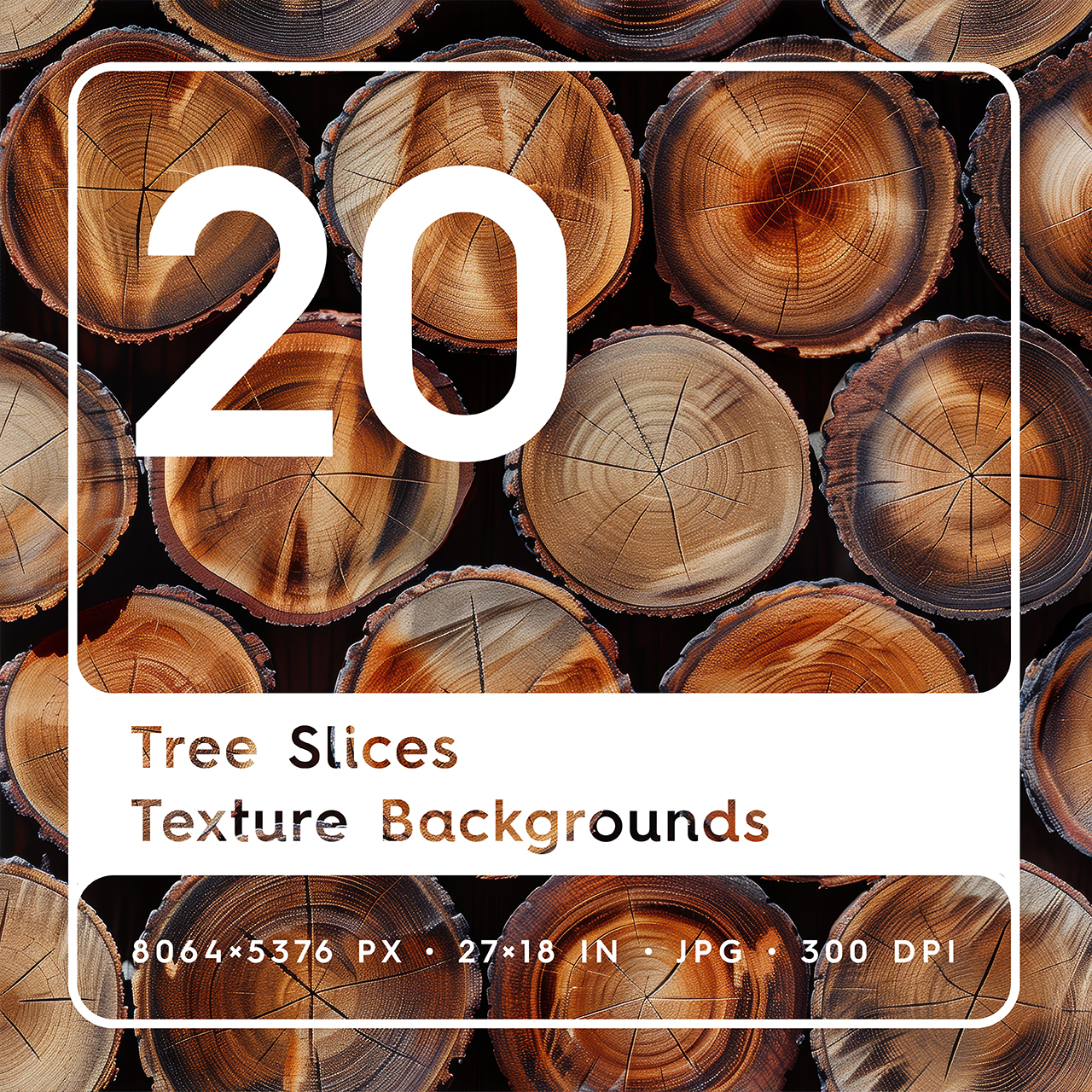 20 Tree Slices Texture Backgrounds Square